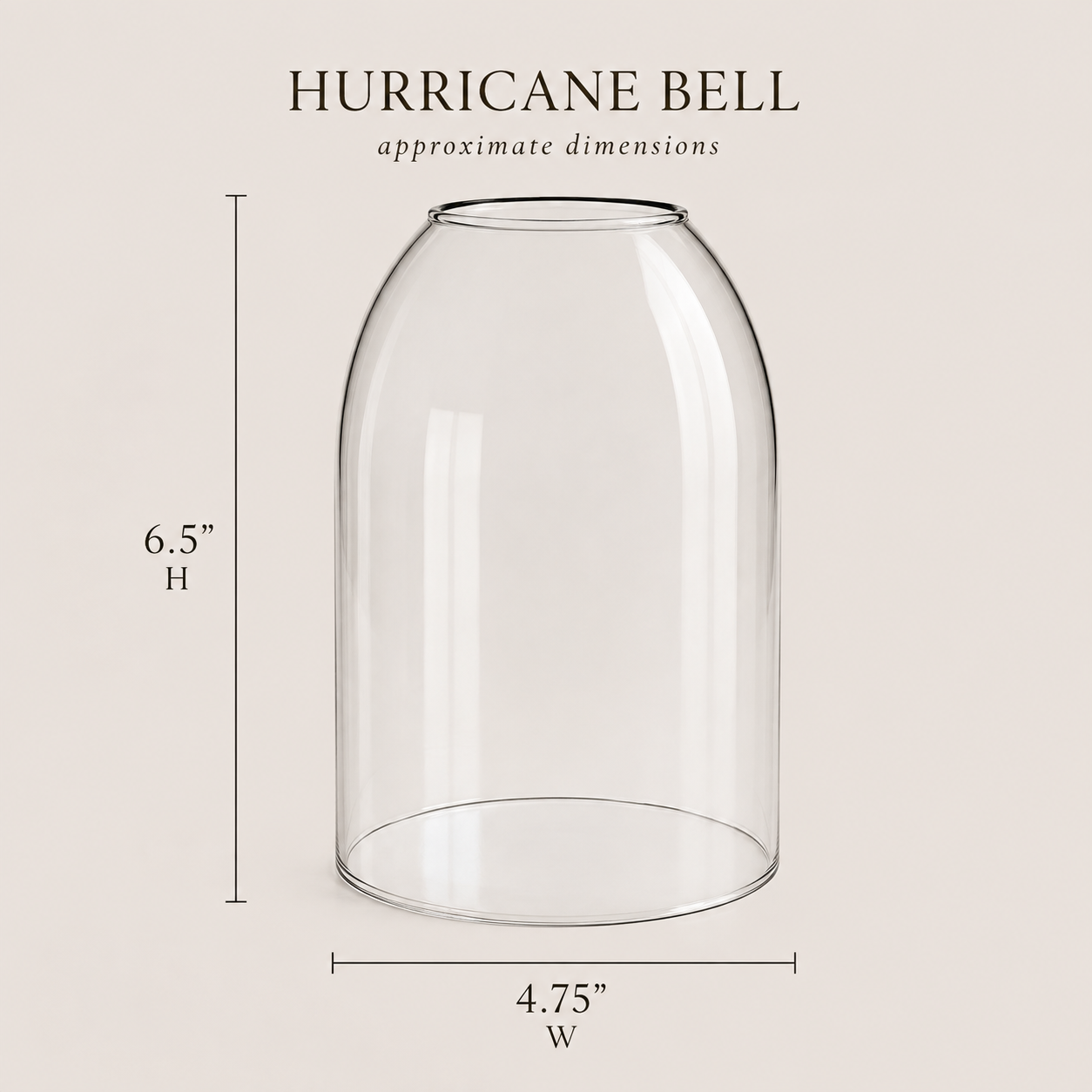 Glass Bell Cloche