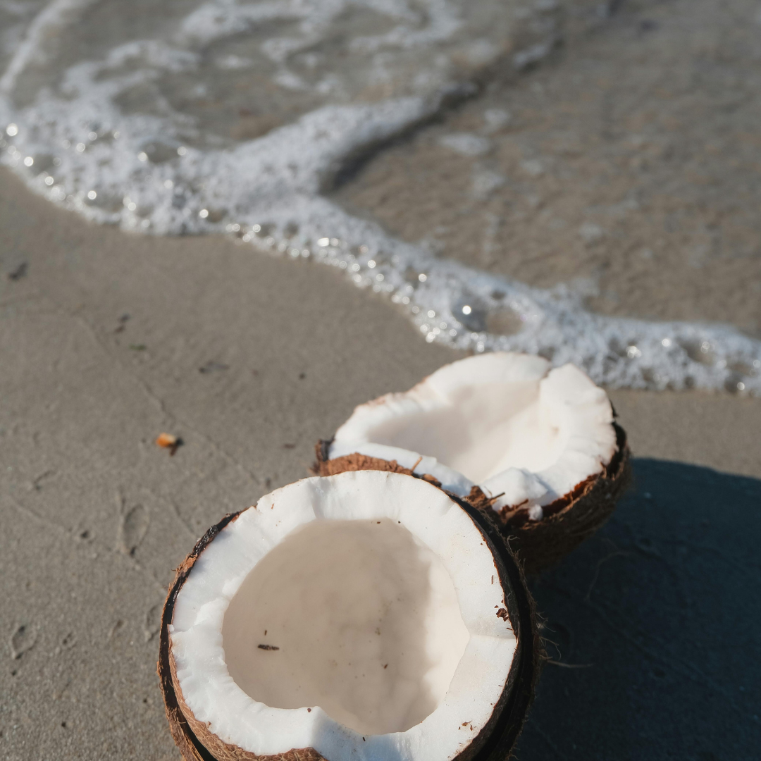 COASTAL Wood Wick Candle | Sea Salt & Coconut