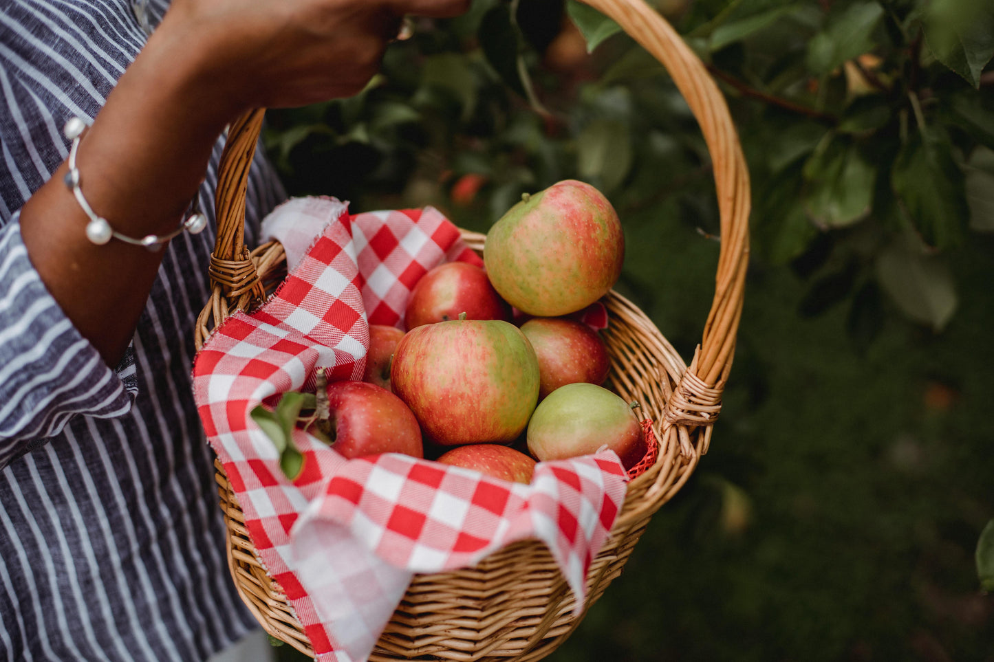 AUTUMN - Spiced Apple & Fig - Pre-Order